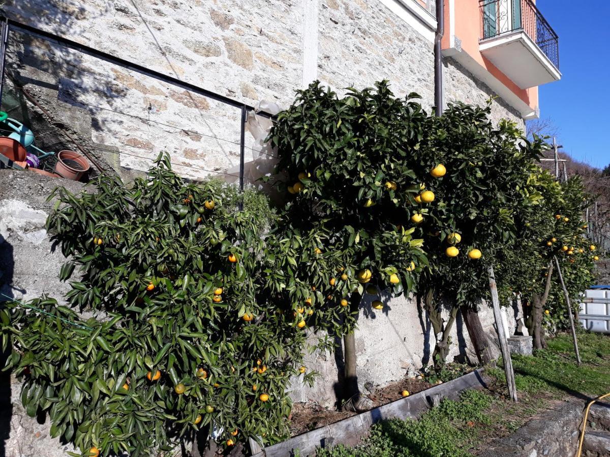 Appartamento Casa ai Castelli Cannobio Esterno foto